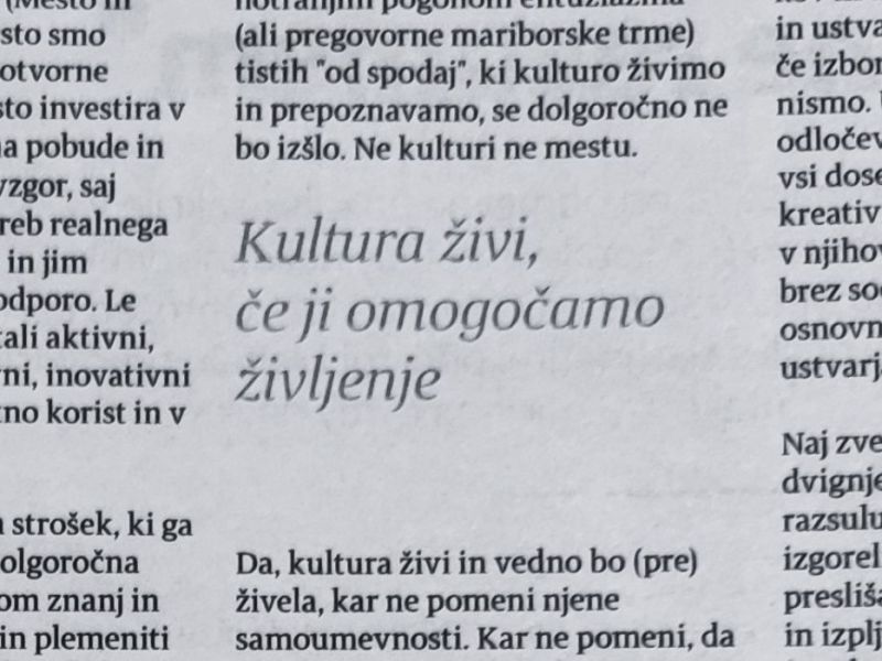 Boj za kulturo ali boj z mlini na&nbsp;veter?