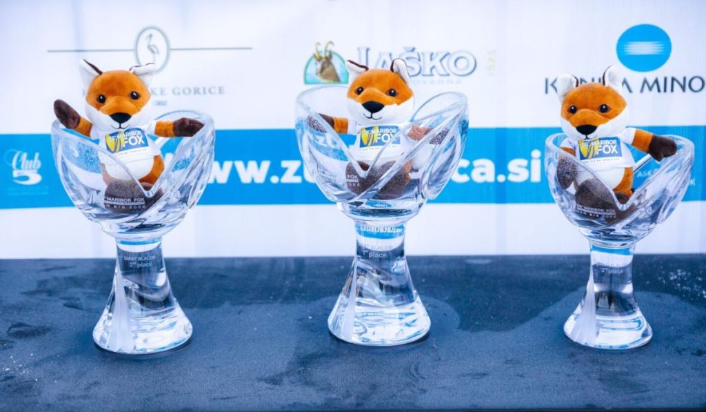 Zlata lisica, Rogaška Slatina