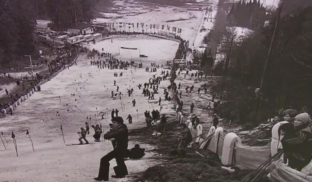 Zlata lisica Pohorje