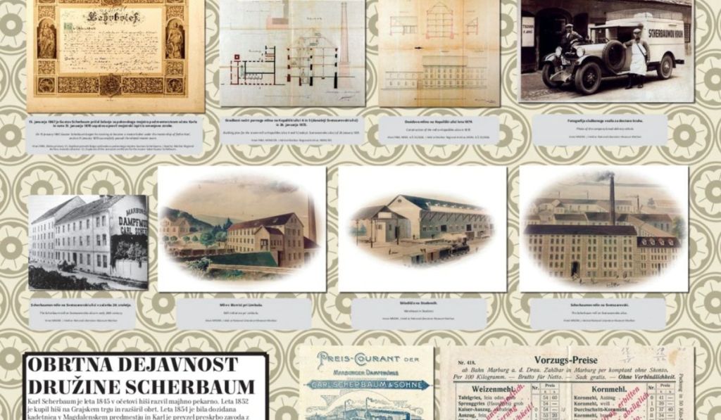 Scherbaumova opica Maribor