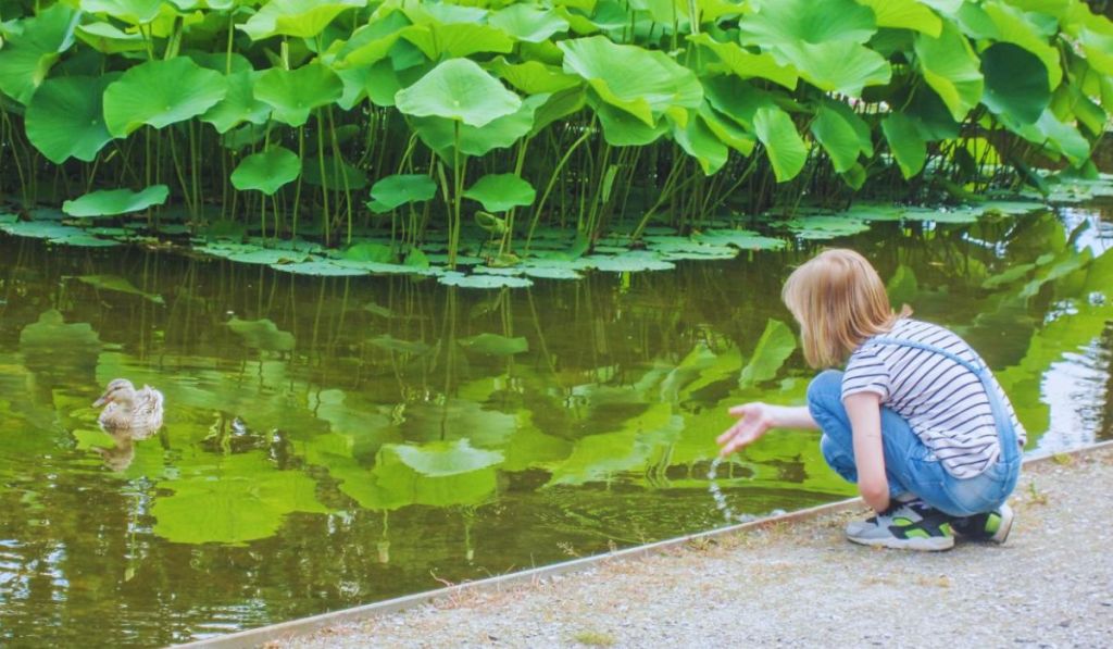 Avstrijski park skulptur, Österreichischer Skulpturen Park