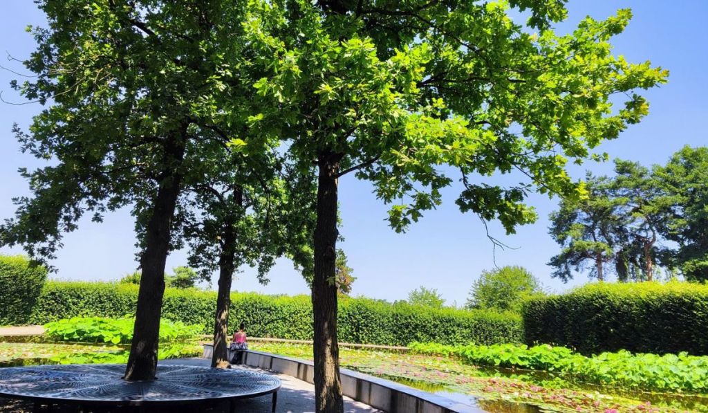 Avstrijski park skulptur, Österreichischer Skulpturen Park