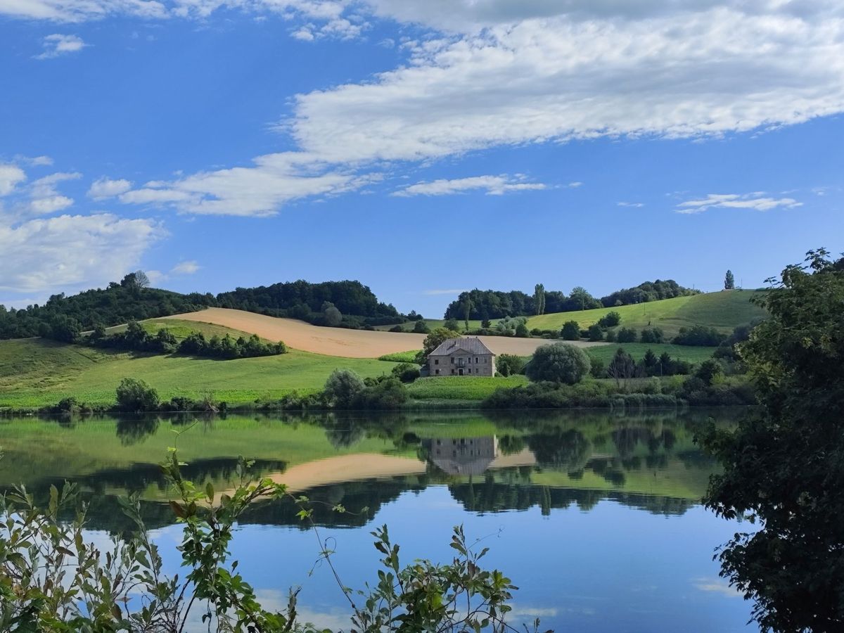 Perniško jezero: raj za ptice, ribiče in fotografe v srcu Slovenskih&nbsp;goric
